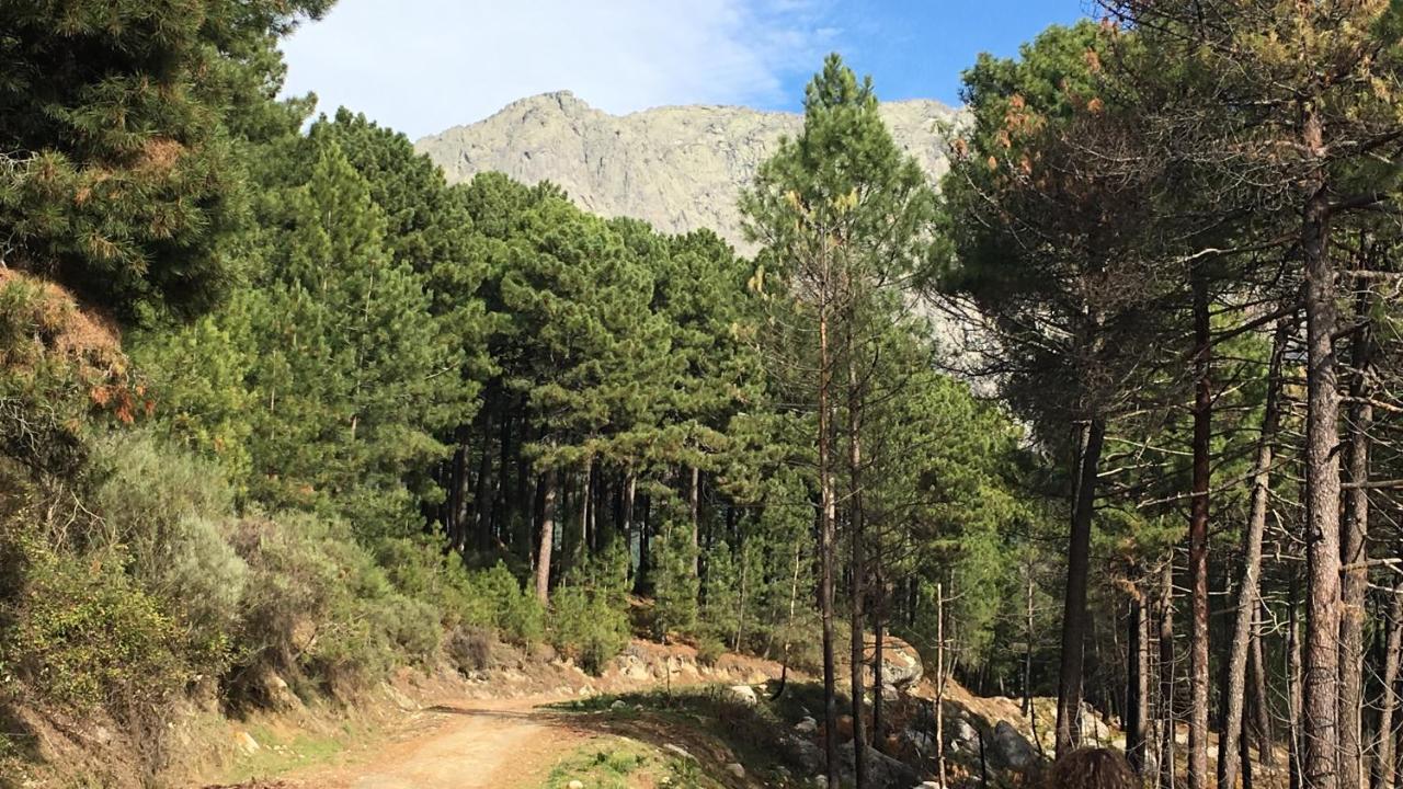 La Calleja Villarejo del Valle Ngoại thất bức ảnh